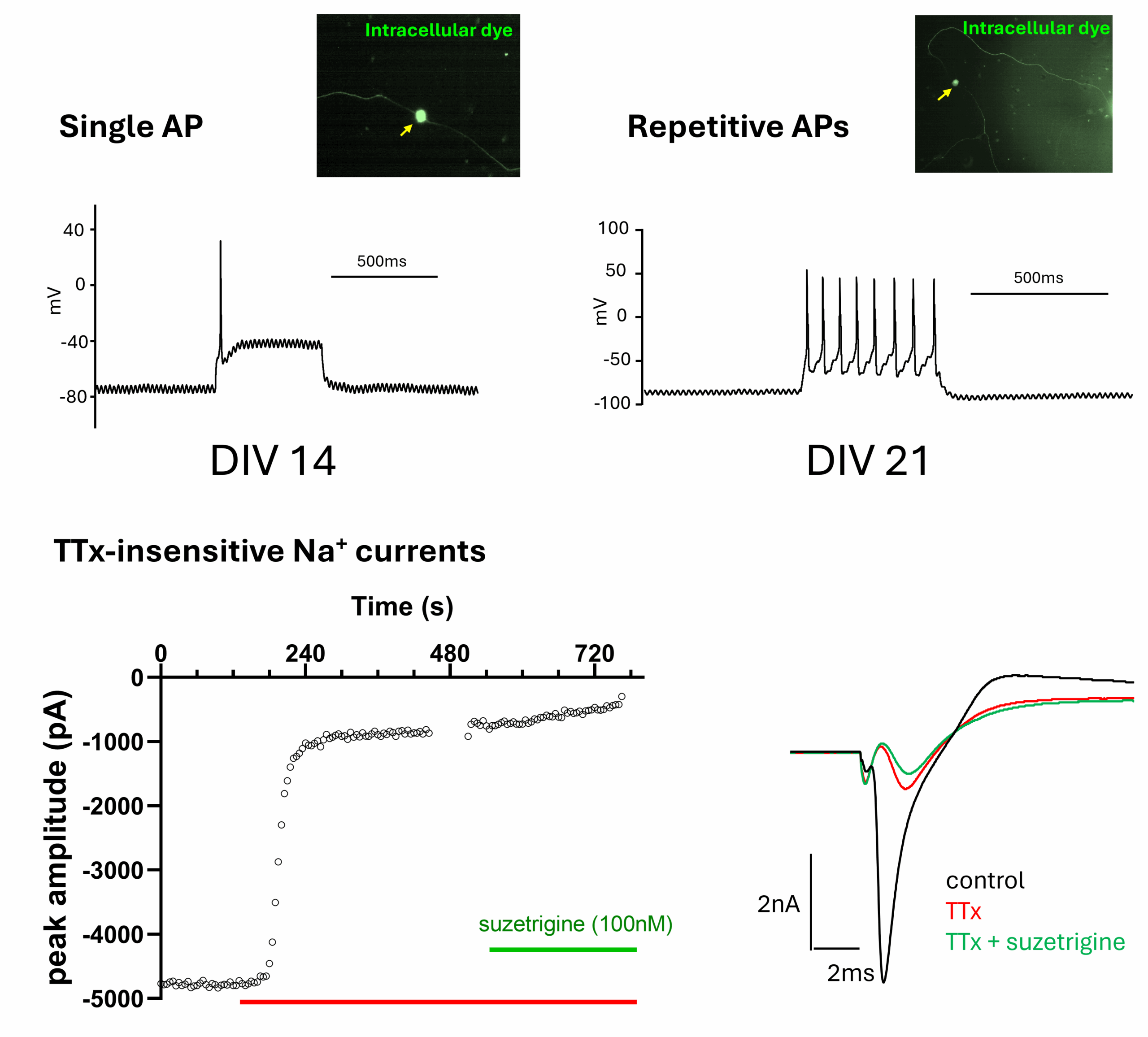 Figure 3 scaled | ApconiX