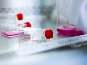 Cell Culture, flasks