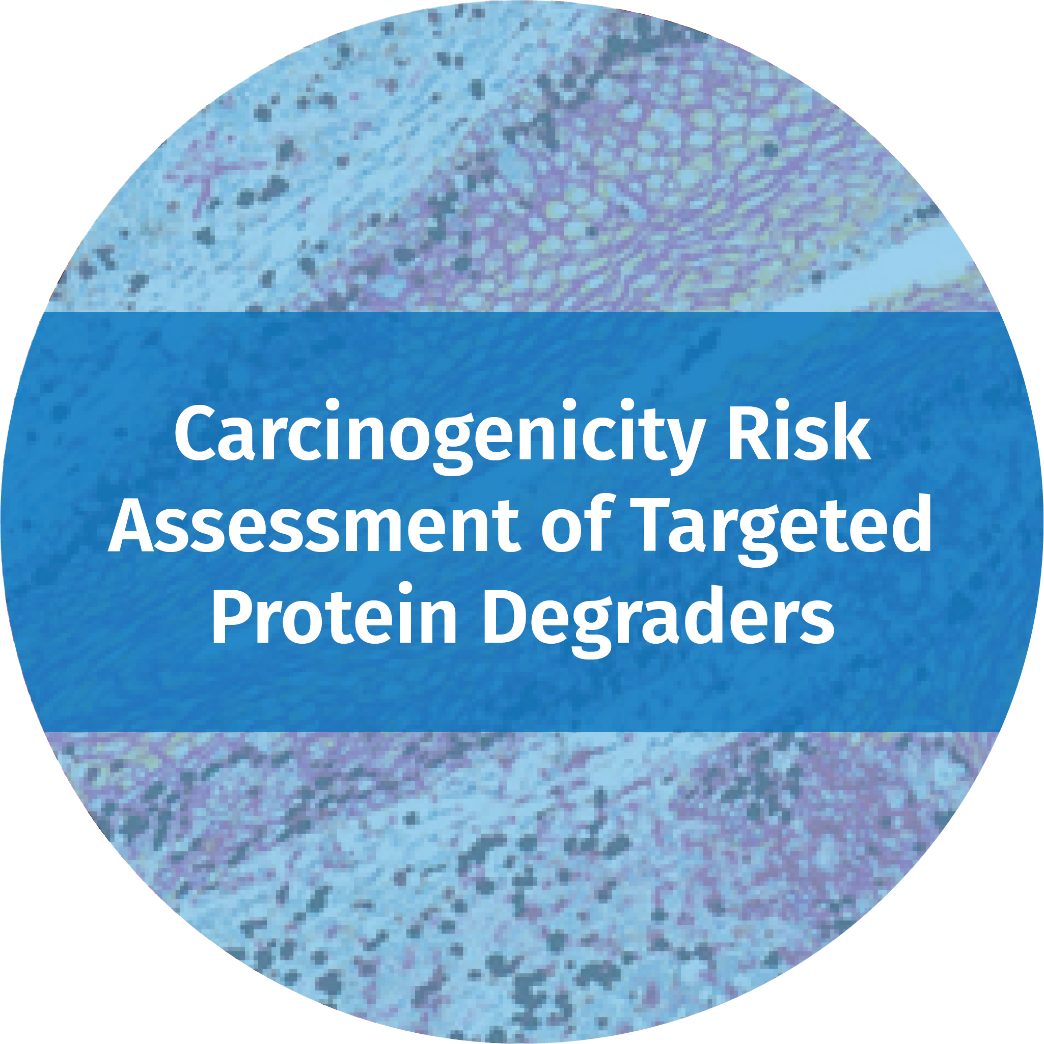 Carcinogenicity Risk Assessment of Targeted Protein | ApconiX