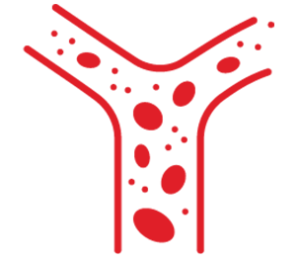 Vascular Safety Assessment Icon