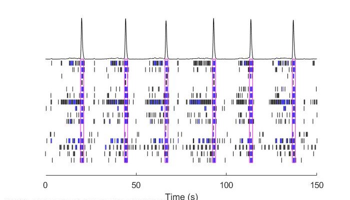 Baseline Raster Plot Baseline Raster Plot | Apconix