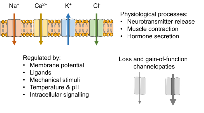 Image 7 | Apconix