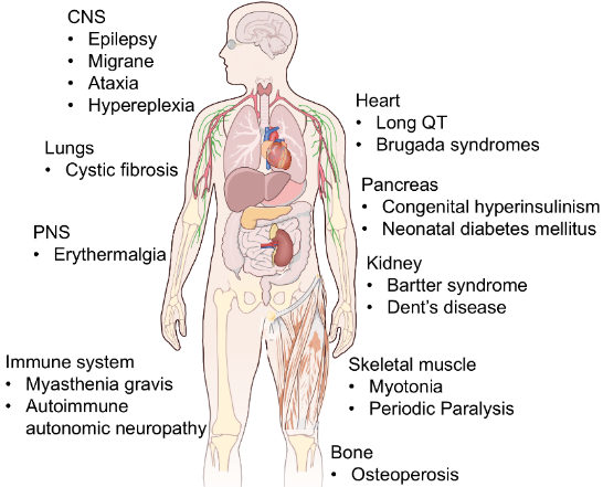 Image 8 | Apconix