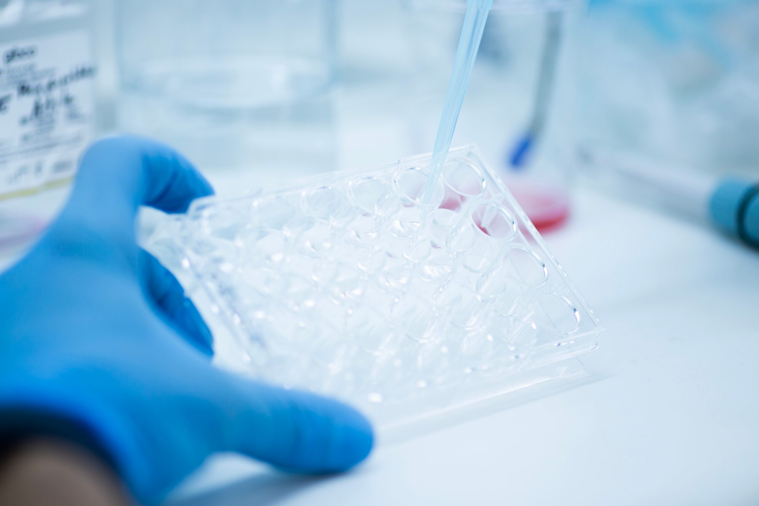 Cell,Culture,In,The,Well,Plate,,Bioengineering,Laboratory Shutterstock 2420566103 Scaled | Apconix