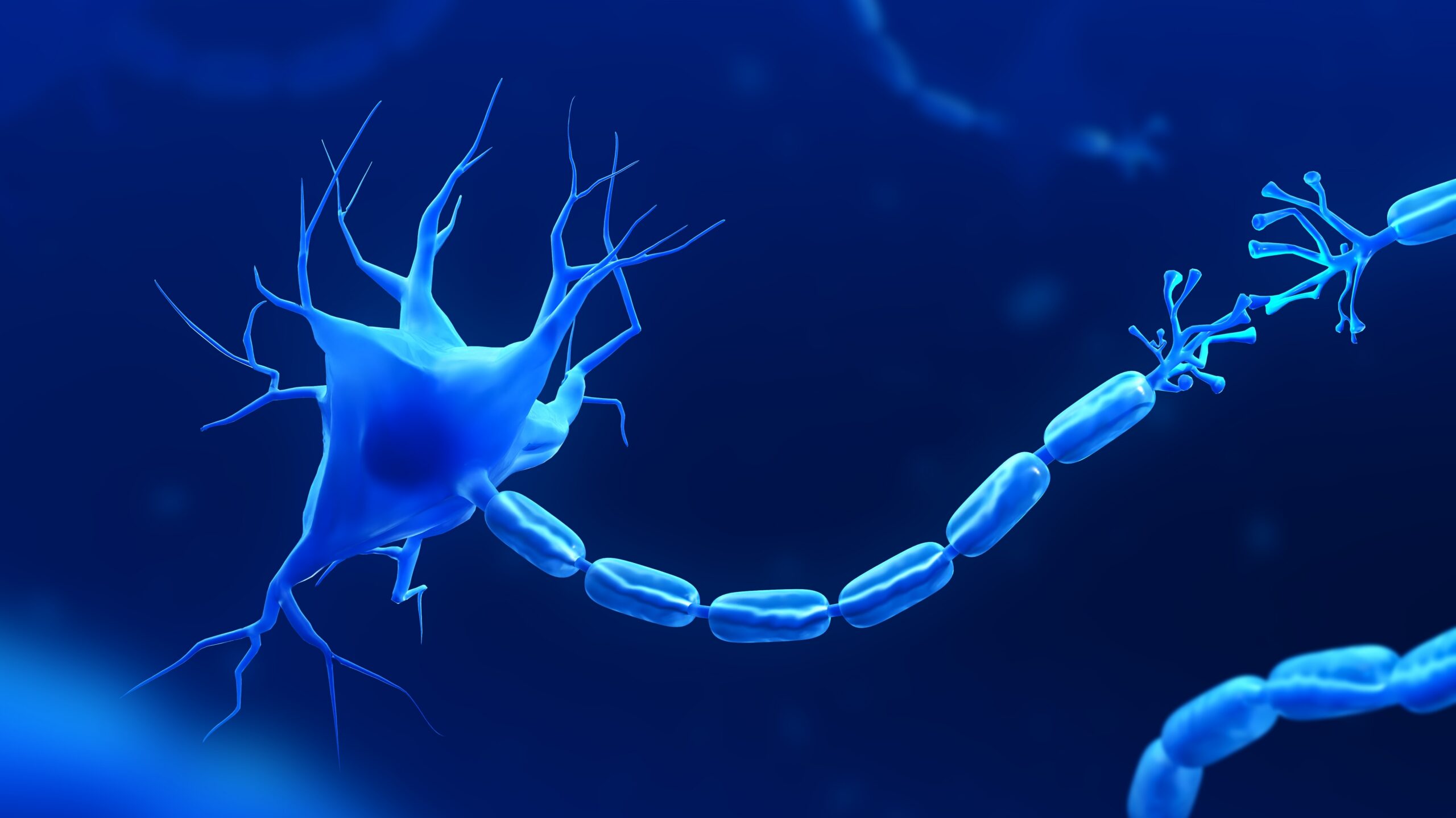 Brain,Neuron,Symbol.,Human,Neuron,Cell,Illustration.,Neurology,Illustration.,3D Shutterstock 2511942285 Scaled | Apconix